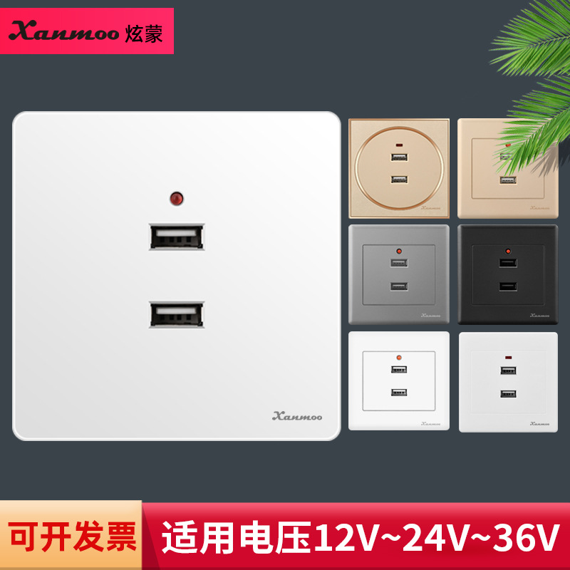 低压USB插座12V24V36V充电插座面板轮船房车充电24V二孔USB面板