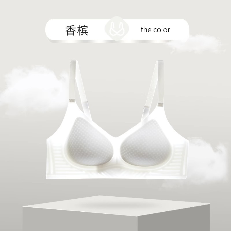 [쿨 7A 항균] 샴페인