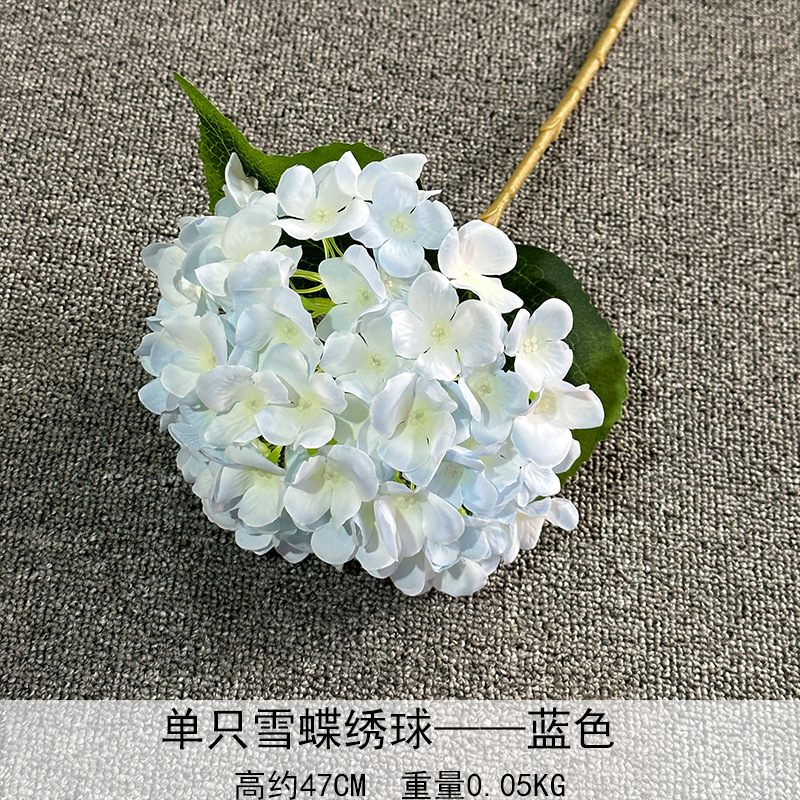 Sola nieve mariposa Hortensia azul