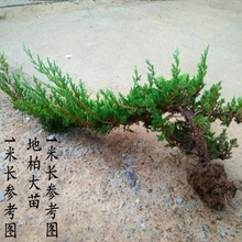 ����ӭ�������͵ذ��쾰�҃����L�����F�k�����Sɽ�_�h�ɾ��^���