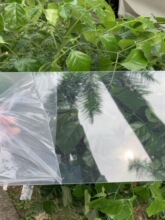 ͸ƬPVCӲƬɫPPƬ͸PC|ƬɫɫPVCӹΠ