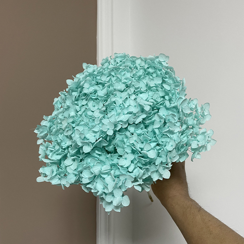 Yunnan Anna Hydrangea Flower Wholesale DIY Flower Preservation Flower Materiales de Regalo de Navidad
