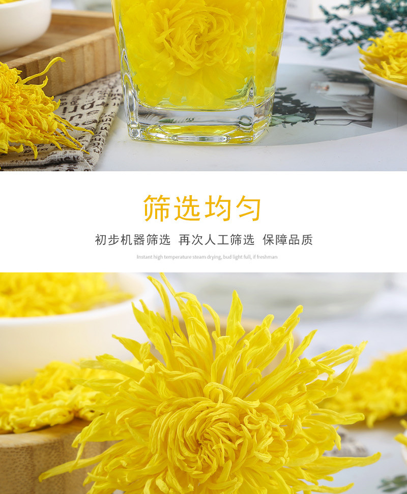 Golden Silk Imperial Chrysanthemum (Chrysanthemum morifolium) — Large-Flower Dried Herbal Tea from Huangshan in use