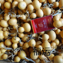 Ұ����Ȼ��������С���J�Π�����F��������[��������J�]��覴�