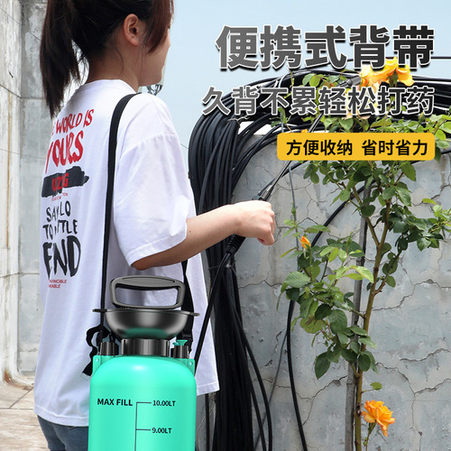 Deli manual air pressure spray kettle sprinkler watering kettle agricultural sprayer spray kettle spray kettle high pressure wholesale