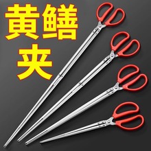 ���q�S�X�A�X�~�A���P��Q�ӷ����s���A��ץ�з���r���߻��Q����