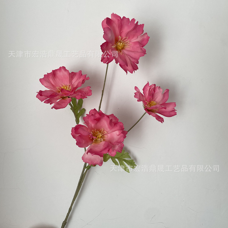 로즈 레드