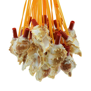 Natural Shell Conch Whistle Decorative Shell Conch Wholesale Crafts Tourist Area Push Sweep Code