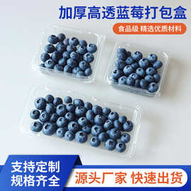 蓝莓盒一次性水果盒PET吸塑盒塑料水果包装盒125g标签贴婚庆包装