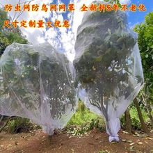 果树防寒罩防虫网罩纱网樱桃杨梅蓝莓防防蚊蝇防污染网套透气透光