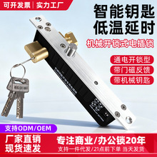 断电上锁带钥匙电插锁铁门防水电锁监狱别墅大门肯德基门电梯电锁