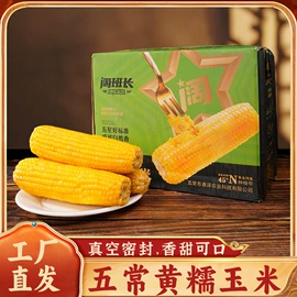 玉米