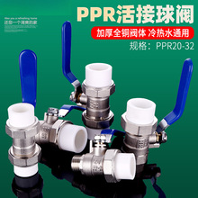 PPRp~y20/25/32PPRˮ_P4/61zyTy