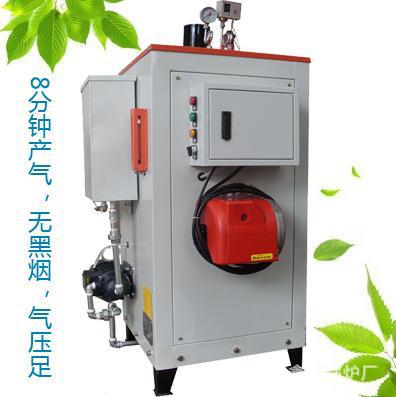 厂家现货立式全自动食品蒸煮燃气锅炉混凝土养护生物质蒸汽发生器