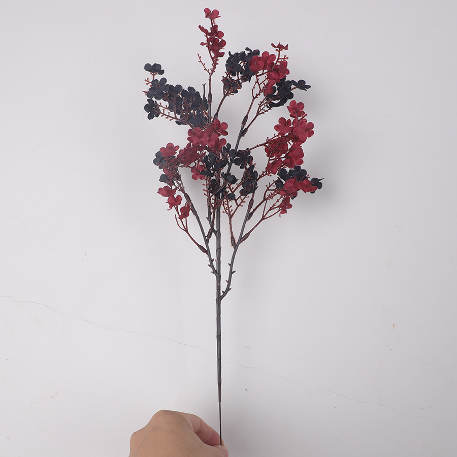 21-버건디 블랙