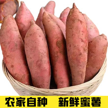 新鲜蜜薯广西农家自种地瓜蜜薯烤红薯整箱批发斤5斤10斤贸易批發