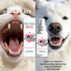 身体护理套装;其他美妆工具;头皮护理用品