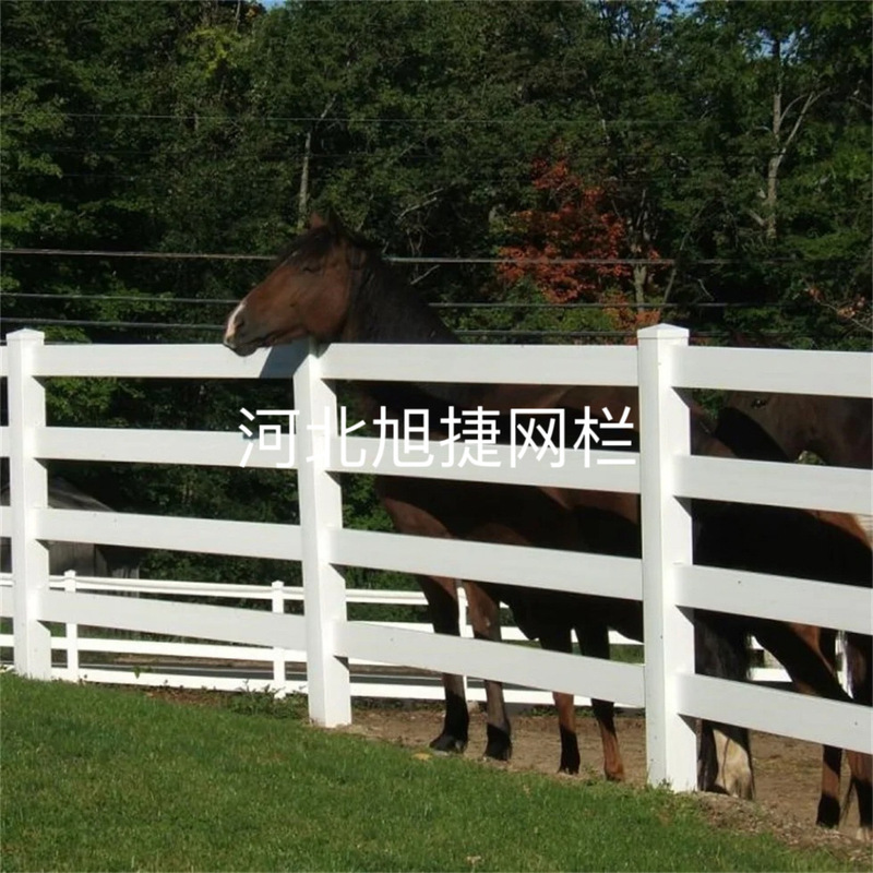 Pvc馬場ガードレールキャンプ場萌え寵愛園競馬場フェンス馬道フェンス馬術クラブフェンス|undefined