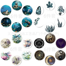 羳¿ľ|6ױ|͟豭ȼҾ