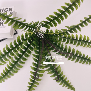 12Pβ ˹ ާϷֲb~