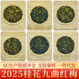 �r����� �𻨾����t÷ 2025�²� ���ݲ����Ͳ������t�� ���~���l
