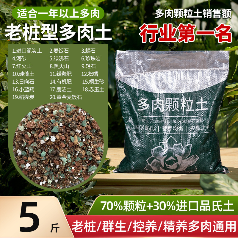 多肉植物粒土、特殊栄養土、医療石、一般花植物多肉植物土、カラフルな小石舗装|undefined