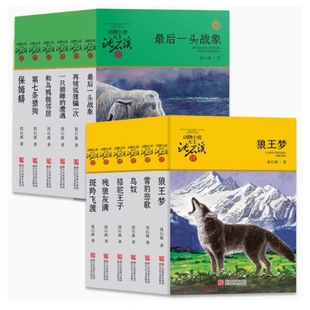 ����ͯ�� ����С�f��ʯϪ�����������w�ɵ��ߗl�C��ѩ�������Bū