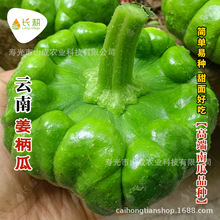 ��Ͻ����ϷN������С�Ϲ��߲˷N�Ѹ߮a���＾ѾѾ���߲˷N�ݴ�ȫ