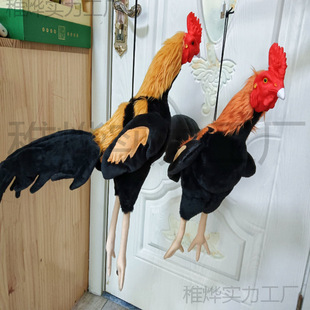 ���u��Ʒ���uģ�͹����u���z�u�ٶ��uë�uģ��Ӗ�����uģ��