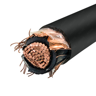 ����513mm&sup2;������p�^��������|60�Ɇ�о15KV�������θ߉���|