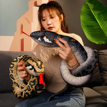 �����߹���ë�q��ߴ�̖��������ż�������MС���������е��߶Y��