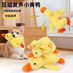跨境猫狗玩具发声小黄鸭狗狗毛绒玩偶陪伴鸭大狗磨牙耐咬自嗨宠物