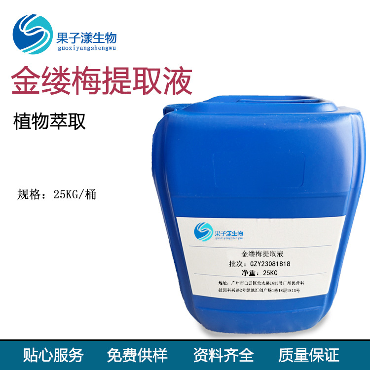 供应 金缕梅提取物 金缕梅萃取 液植物提取 金缕梅提取液