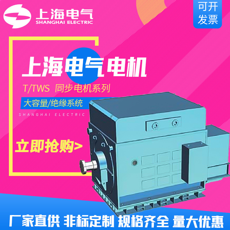 Shanghai Electric Group Shanghai Electric Machinery Factory Motor T/TWS Synchronous Motor 1500kW-41000kW Manufacturer Shanghai Electric Group Shanghai Electric Machinery Factory Motor T/TWS Synchronous Motor 1500kW-41000kW Manufacturer