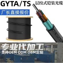 ��������ӽgʽ���|GYTS/GYTA�z�b����ͨӍ���w���| 4~144о