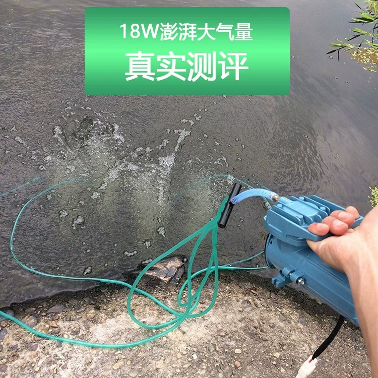 Ежедневно 12V кислородная машина маленькая рыба продает Специальный автомобильный кислородный насос DC батарея кислородная машина рыбоводство Открытый