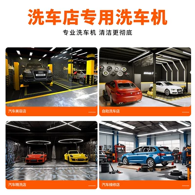 Cat High-Pressure Car Washer 220V — Car washing machine