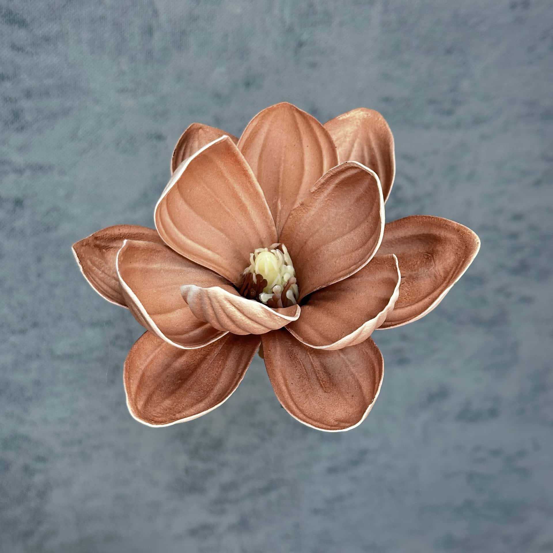 Flor de simulación transfronteriza EVA cabeza de magnolia 13cm tacto tocado kapok decoración decoración decoración flor falsa al por mayor