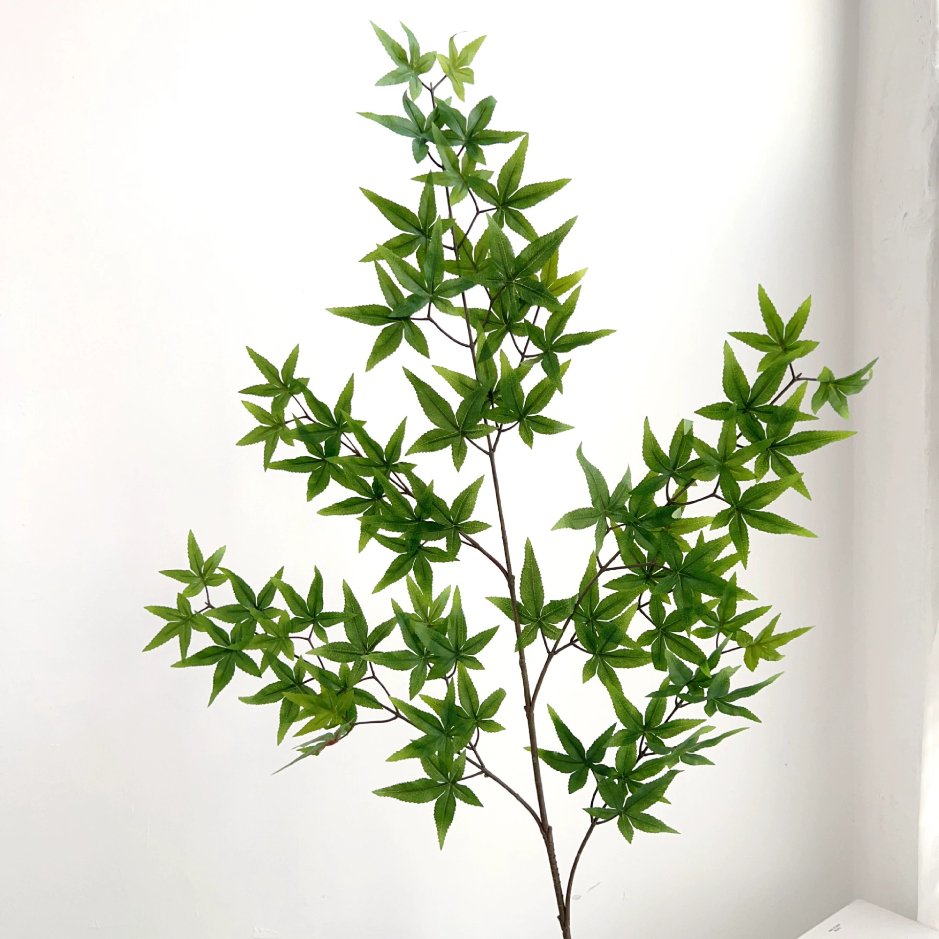 Моделирование зеленых кленовых листьев с длинными ветвями и поддельными ветвями