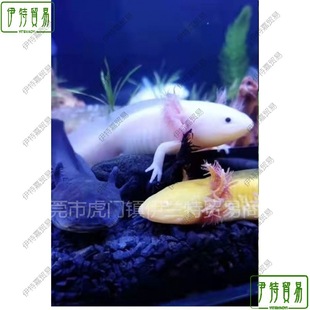 ���ǿ����~ϔ��ԁ�ˮ���B���B�ͻ��^�p�~С���~���~�B���������~