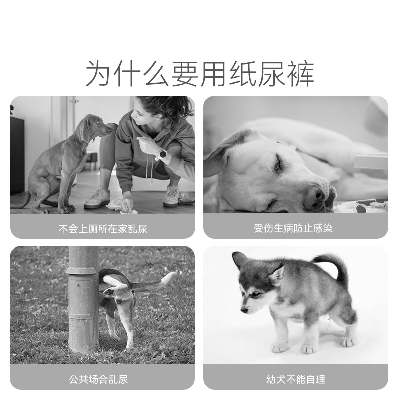 Pañales para mascotas pantalones de tía pañal de perro masculino anti-fuga lateral pantalones fisiológicos servilleta sanitaria de perro hembra ropa interior de seguridad para mascotas image 5