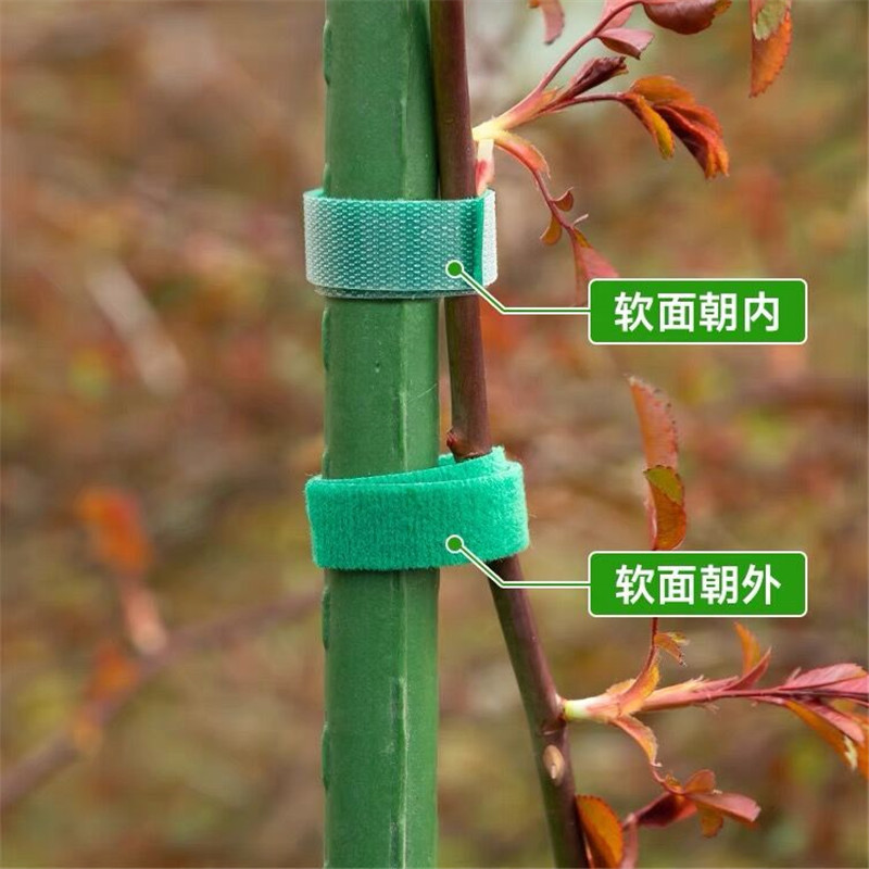 批发绿色植物魔术贴绑带 园林魔术贴扎带 园艺反复使用魔术贴扎带