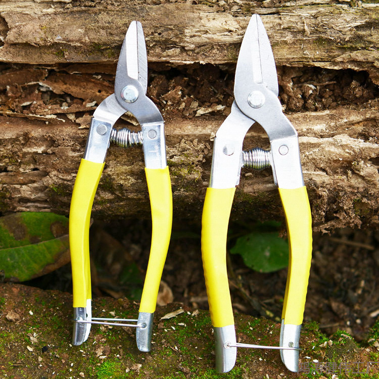 不锈钢摘果剪柑橘剪圆头剪果子剪柑桔平头直头水果采摘剪刀果剪