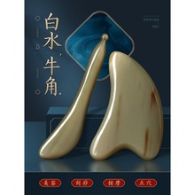 ��ˮţ�ǹ���������沿���݌���Ę������y��Ę�ΰ���ͨ�ð�Ħ