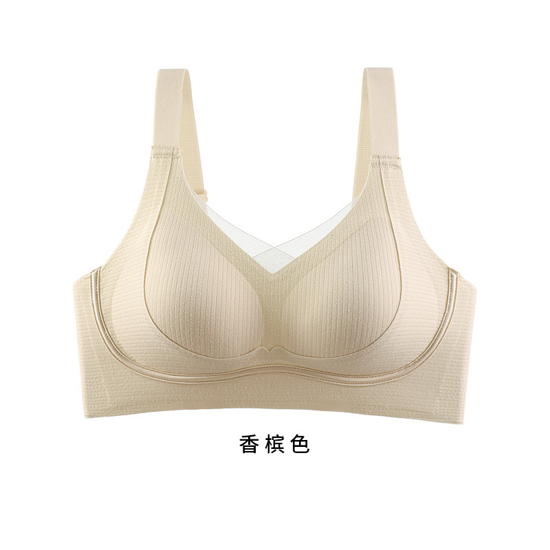 샴페인