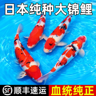 �\���~���~��ˮ��ˮ�^�p�~���B�ͻ��ձ����N�t�״����Ѻ���S�\��