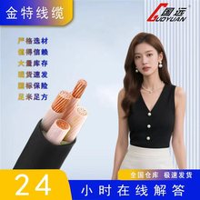 国标YJV/YJV22 0.6/1KV铜芯 电缆4 5芯10～300平方低压电力电缆线