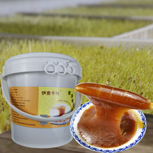 ����ǧ�������ѿ�ǂ��y��ˇ���f��ʳ�決���þ��ơ����ϡ2.5kg