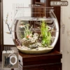 Big Mac plus round fish tank + oxygen pump