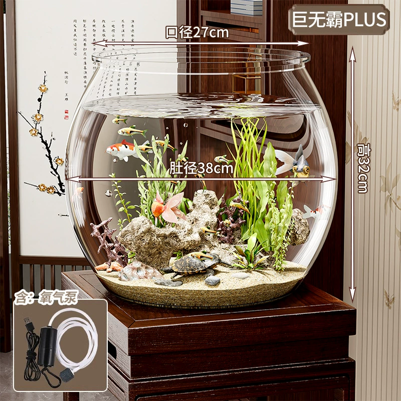 Transparent small square acrylic aquarium for office